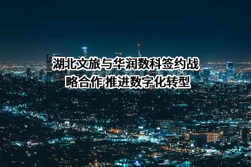 华润数科控股有限公司