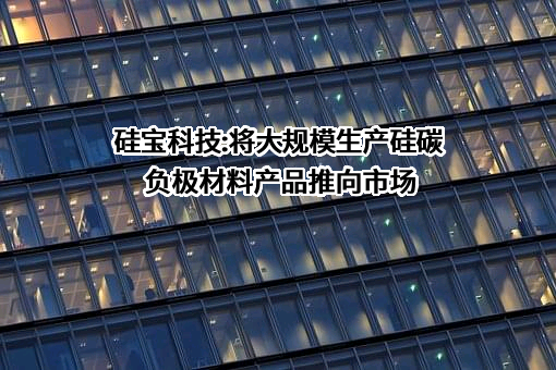 成都硅宝科技股份有限公司