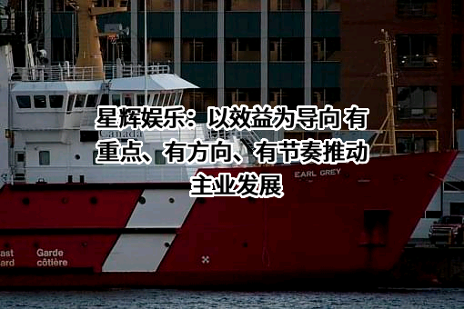 星辉互动娱乐股份有限公司