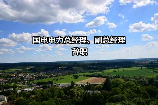 国电电力发展股份有限公司