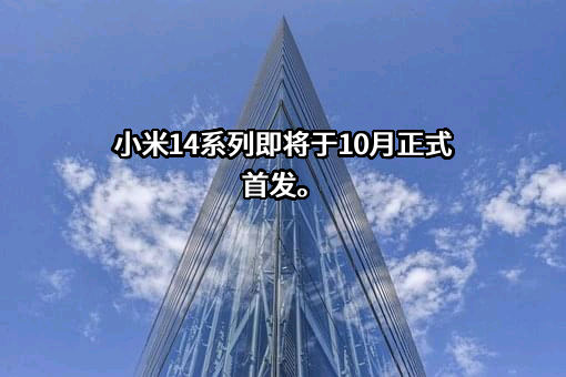 小米公司