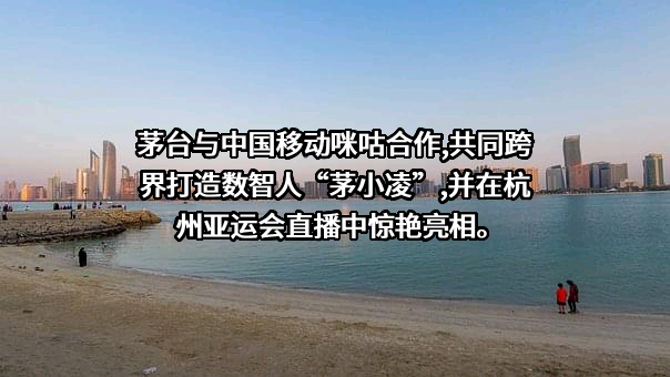 贵州茅台酒股份有限公司