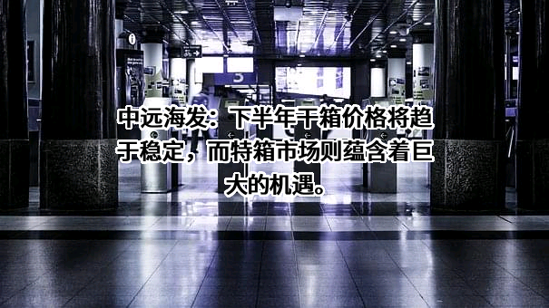 中远海运发展股份有限公司