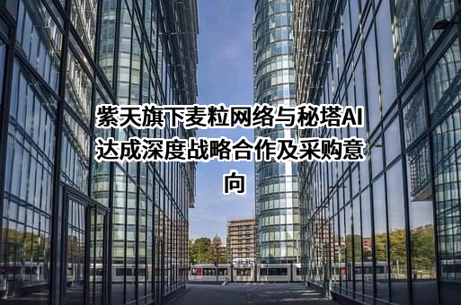 山东麦粒网络科技有限公司