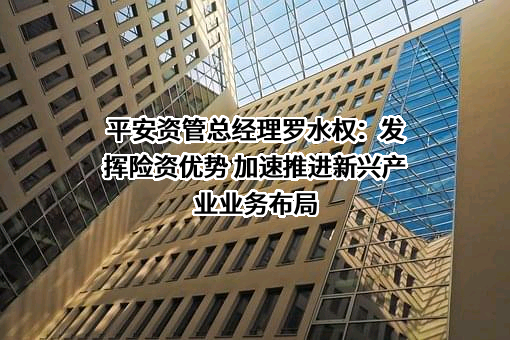 平安资产管理有限责任公司