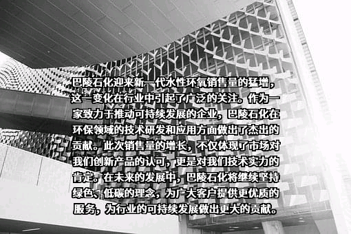 岳阳巴陵石化化工化纤有限公司