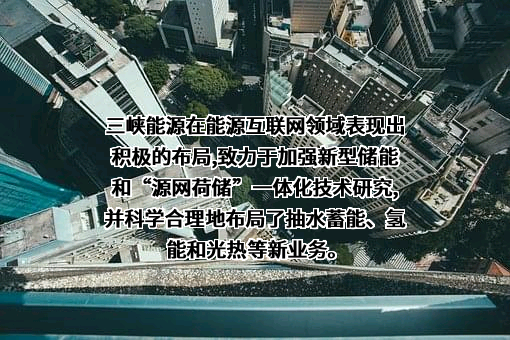 中国三峡新能源(集团)股份有限公司