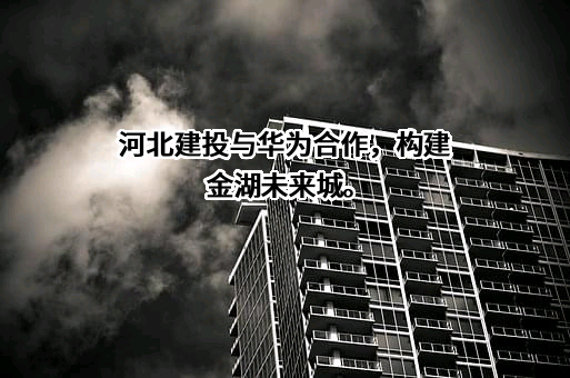 华为技术有限公司