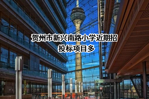 贺州市新兴南路小学近期招投标项目多