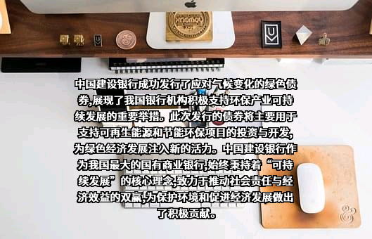 中国建设银行股份有限公司