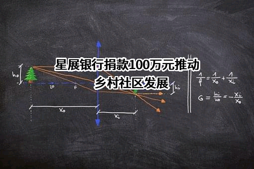 星展银行（中国）有限公司