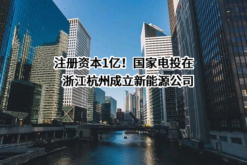 国家电力投资集团有限公司