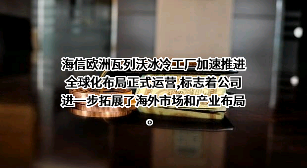 海信集团有限公司