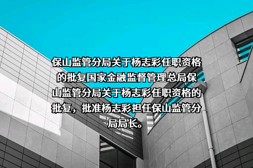 云南施甸农村商业银行股份有限公司