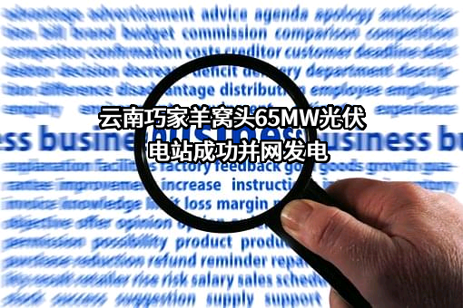 中国电力建设股份有限公司