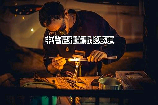 中信尼雅董事长变更