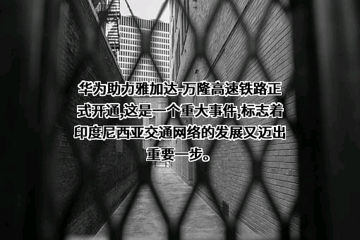 华为技术有限公司