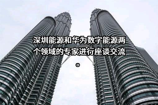 深圳能源集团股份有限公司