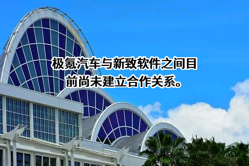 上海新致软件股份有限公司