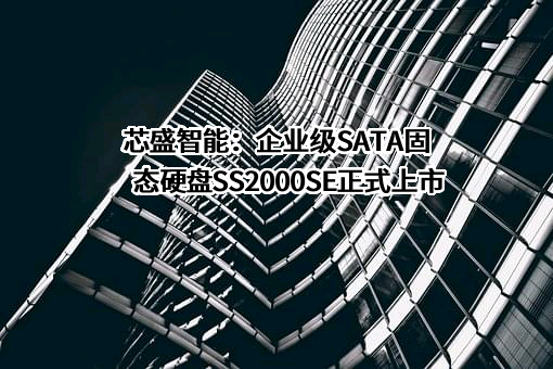 江苏芯盛智能科技有限公司