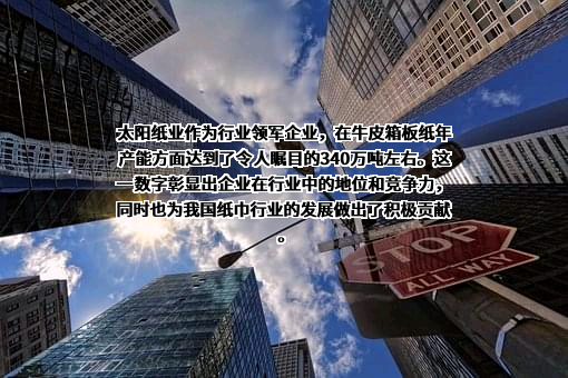 山东太阳纸业股份有限公司