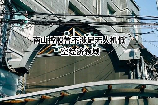 深圳市新南山控股(集团)股份有限公司
