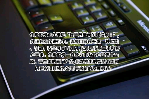青岛伟隆阀门股份有限公司