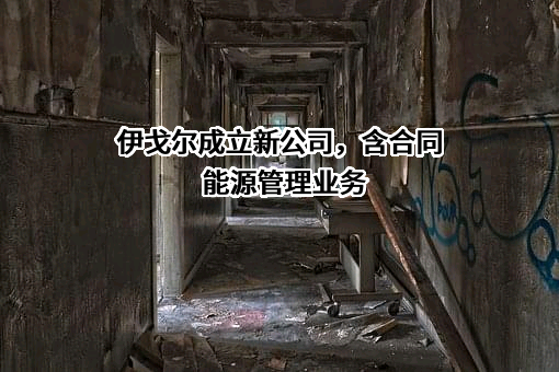 伊戈尔电气股份有限公司