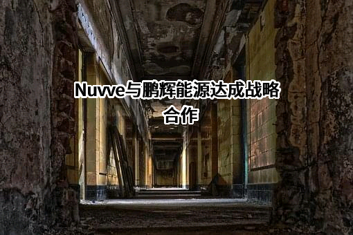 广州鹏辉能源科技股份有限公司