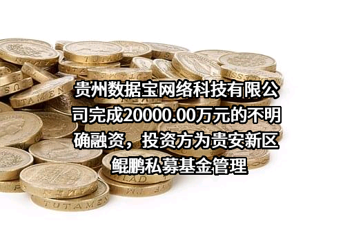 贵州数据宝网络科技有限公司完成20000.00万元的不明确融资，投资方为贵安新区鲲鹏私募基金管理