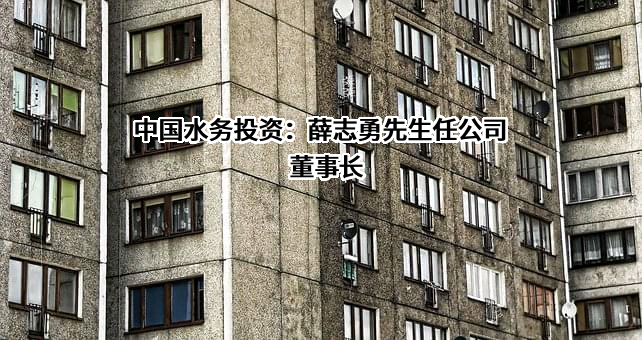 中国水务投资有限公司
