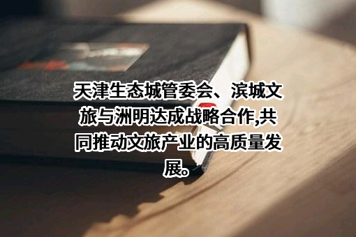 深圳市洲明科技股份有限公司