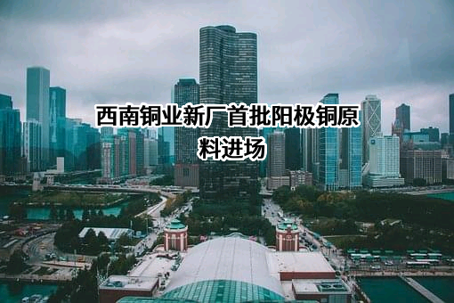 四川西南铜业有限公司