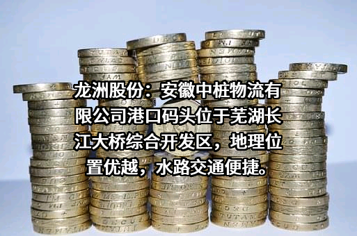 龙洲集团股份有限公司