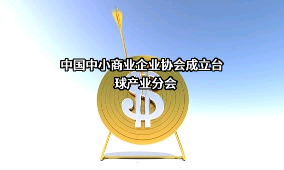 中国中小商业企业协会