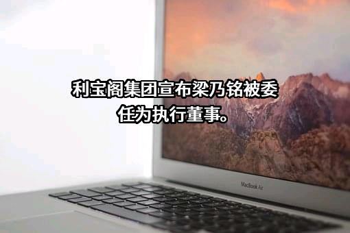 利宝阁集团有限公司