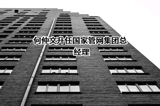 国家石油天然气管网集团有限公司