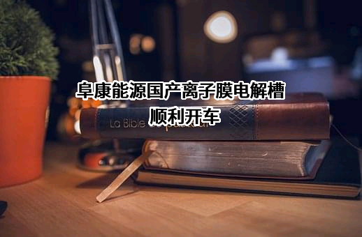 新疆中泰化学阜康能源有限公司