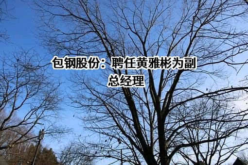 内蒙古包钢钢联股份有限公司