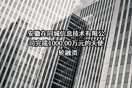 安徽在同城信息技术有限公司