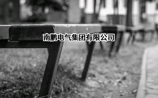 南鹏电气集团有限公司