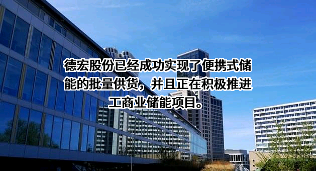 浙江德宏汽车电子电器股份有限公司