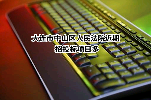 大连市中山区人民法院近期招投标项目多