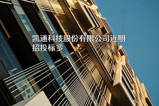 凯通科技股份有限公司
