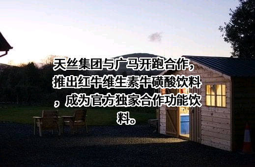 山东天丝建材集团有限公司