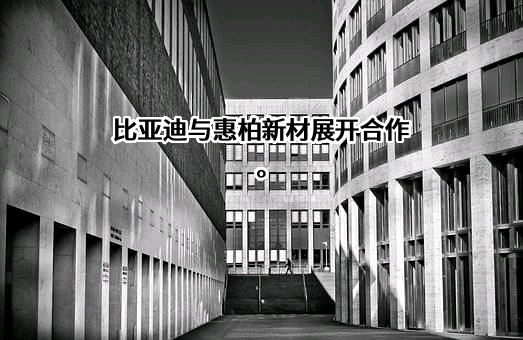 惠柏新材料科技（上海）股份有限公司
