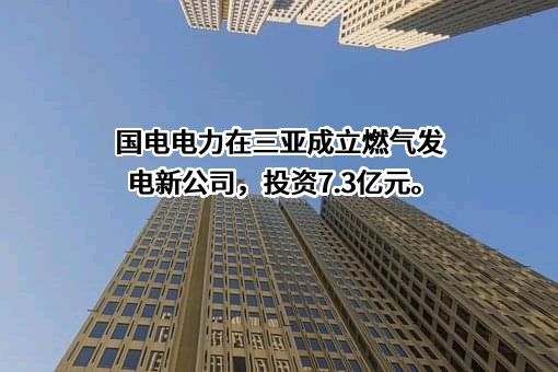 国电电力发展股份有限公司