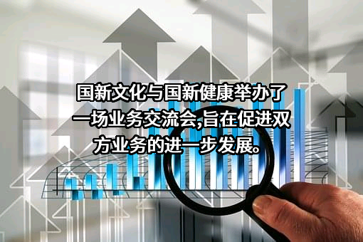 国新文化控股股份有限公司