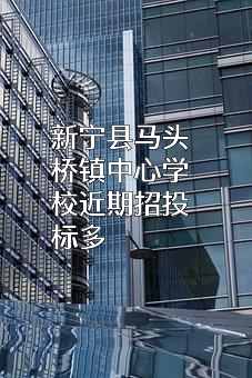 新宁县马头桥镇中心学校