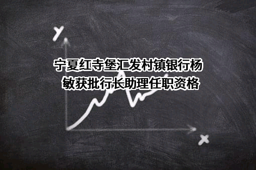宁夏红寺堡汇发村镇银行股份有限公司